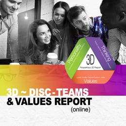 3d-report-online-disc-teams-values-1.jpg