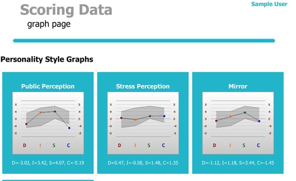 Three Graph DISC report