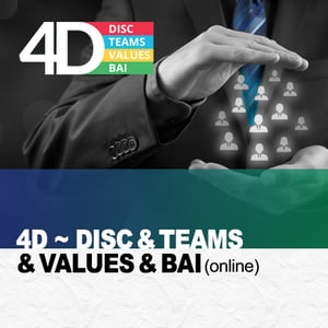 4D Report-DISC-TEAMS-Values-BAI