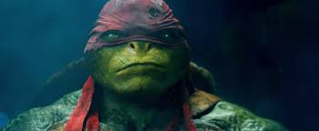 What Is Your Teenage Mutant Ninja Turtle S Personality