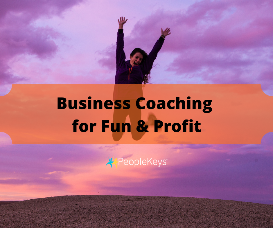 Business Coaching for Fun and Profit