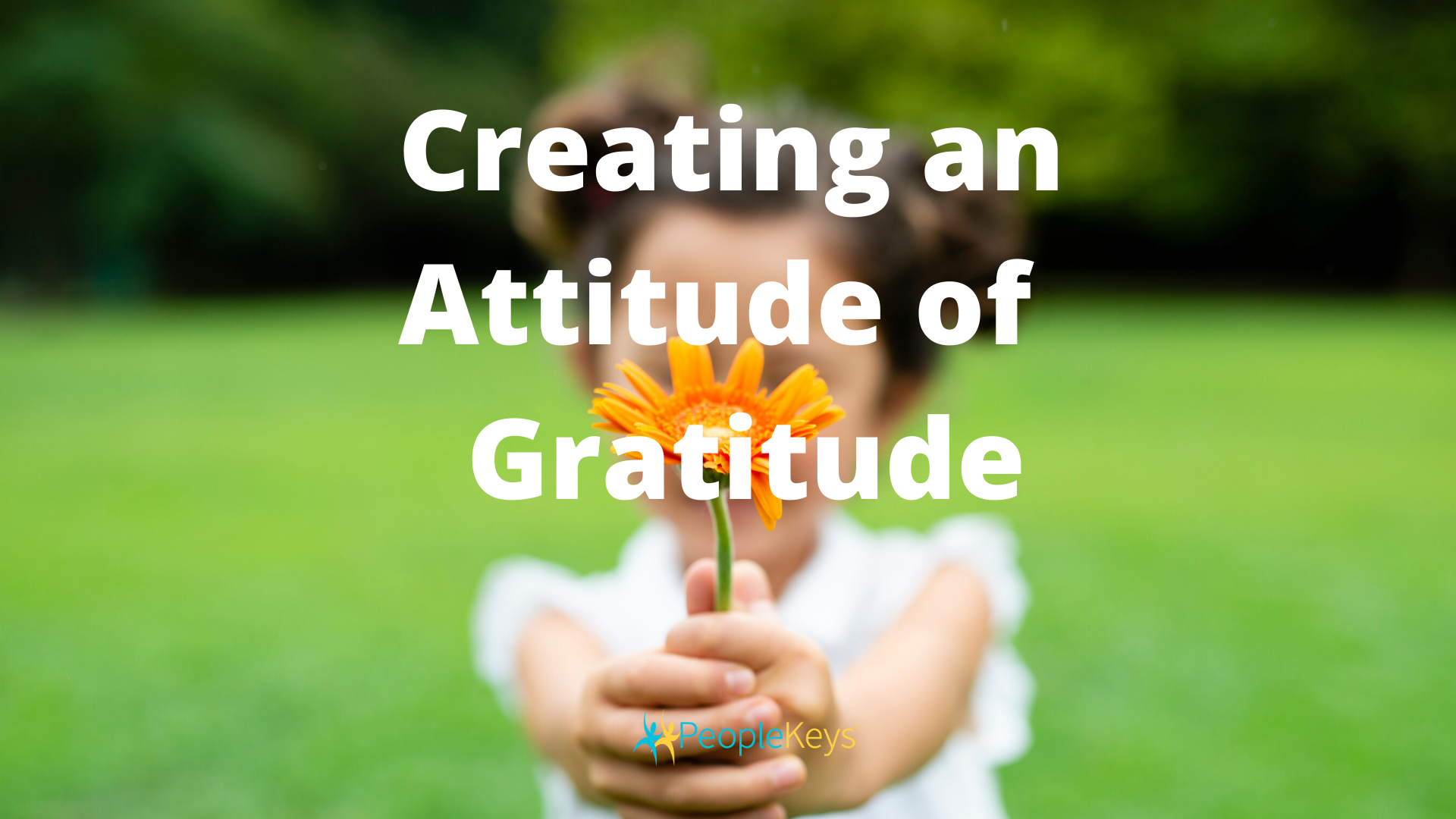 Creating an Attitude of Gratitude