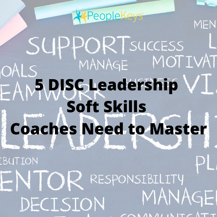 DISC Leadership Soft Skills