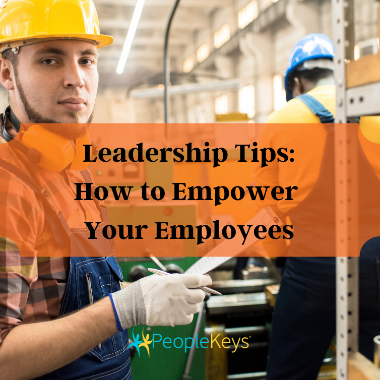 DISC Leadership Tips