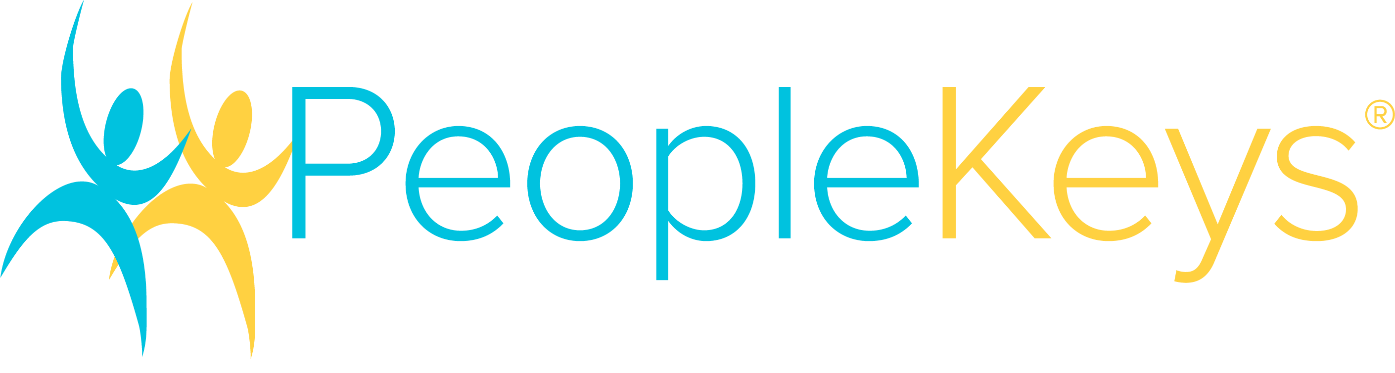 PeopleKeys-Official-DISC-Provider