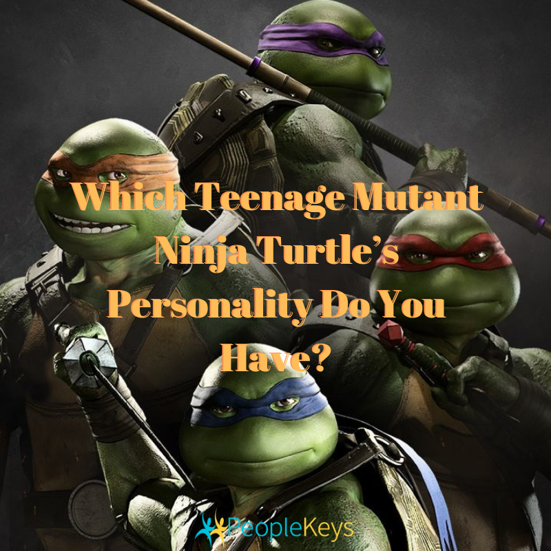 Which Tmnt Disc Personality Style Are You